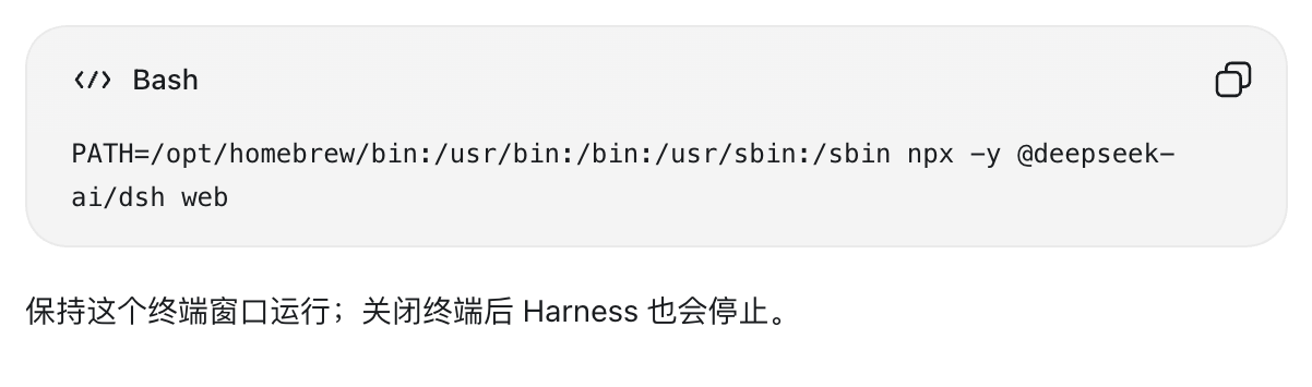 Agent 根据当前环境给出的 DSH 启动命令